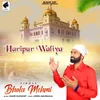 About Haripur Waliya Song